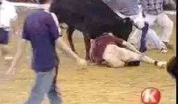 脱裤子打光屁股视频,揭秘脱裤子打光屁股视频背后的真相与争议